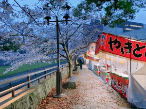 熊本城近くの桜と屋台