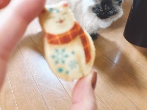 猫クッキー