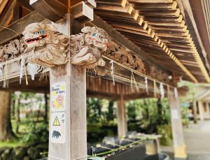 白山さん(白山比咩神社)